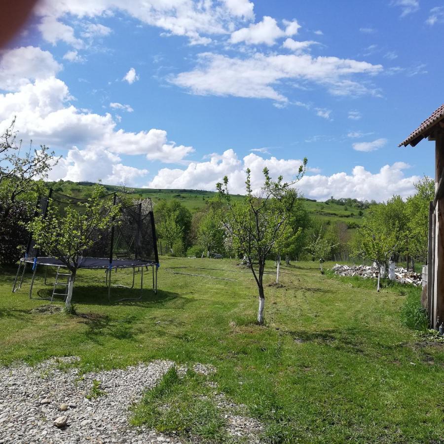 Penzion Casa Din Barcut Exteriér fotografie