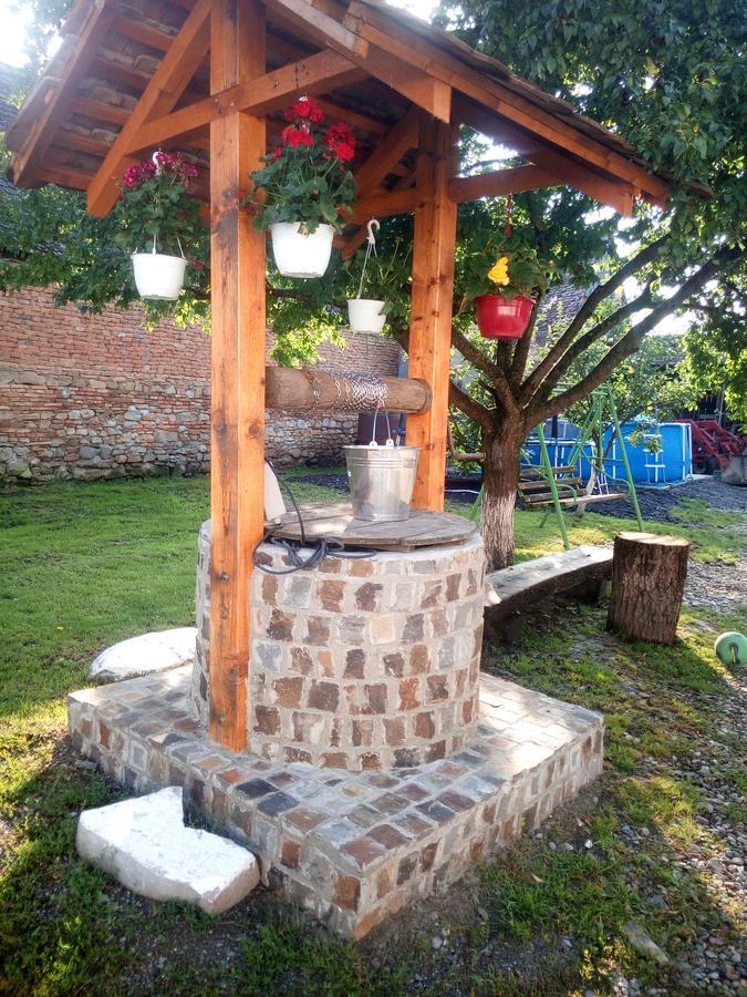 Penzion Casa Din Barcut Exteriér fotografie