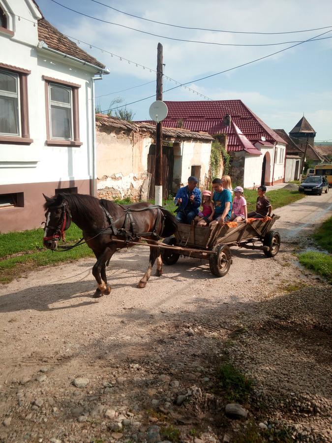Penzion Casa Din Barcut Exteriér fotografie