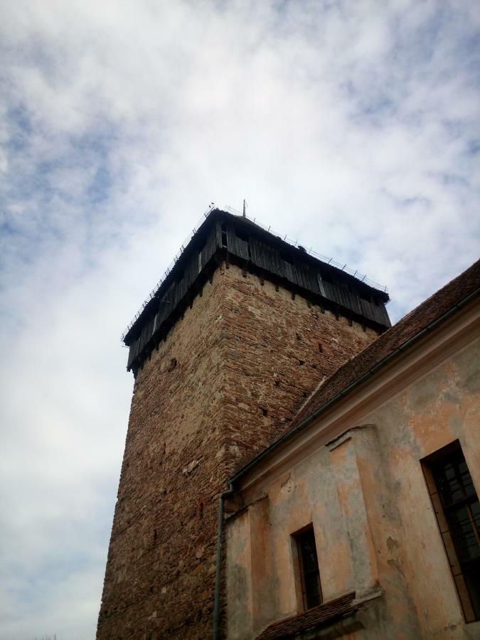Penzion Casa Din Barcut Exteriér fotografie